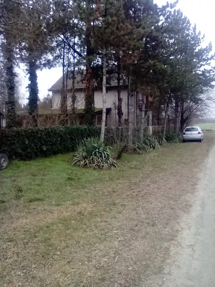 Gornji Tavankut | 4zida.rs