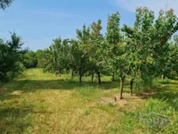 Rumenka, Okolne lokacije, Novi Sad | 4zida.rs