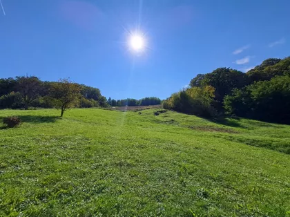 Pavla Radomana | 4zida.rs