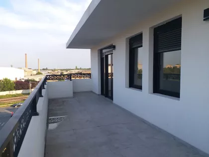 Cara Dušana | 4zida.rs