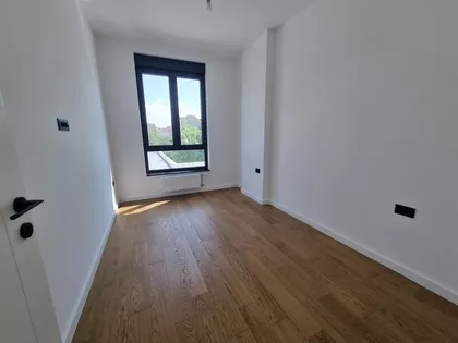 Miše Dimitrijevića | 4zida.rs