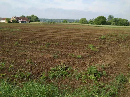 Gradske lokacije | 4zida.rs