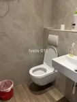 Lokal | 4zida