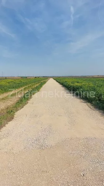 Batajnica | 4zida.rs