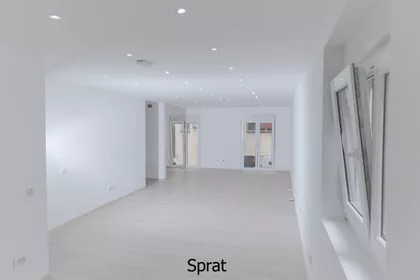 Cara Dušana | 4zida.rs