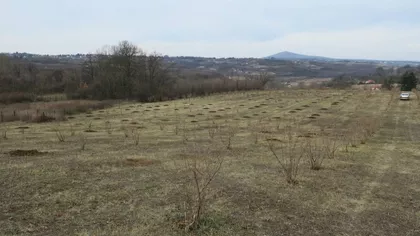 Put Za Malu Ivanču | 4zida.rs