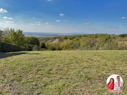 Slankamenački Vinogradi | 4zida.rs