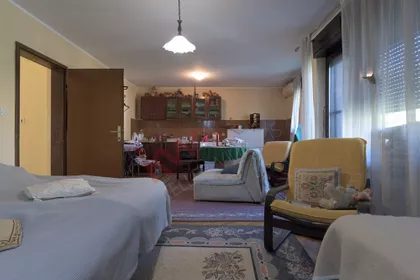 Zlatarska | 4zida.rs