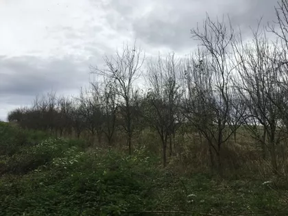 Klupci | 4zida.rs
