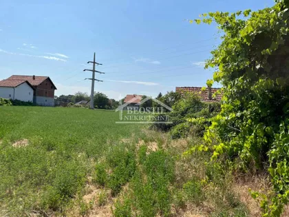 Revolucije | 4zida.rs