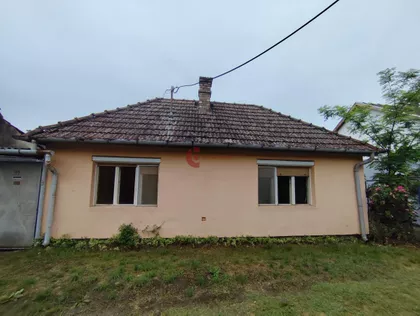 Zorka | 4zida.rs