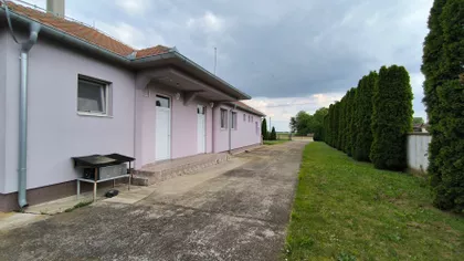Glušci | 4zida.rs