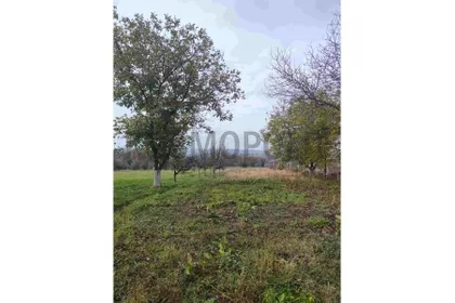 Živka Stevanovića Žikice | 4zida.rs