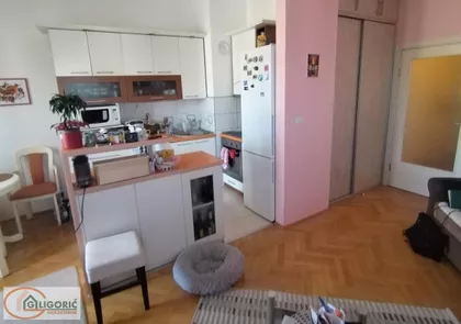 Stepa Stepanović | 4zida.rs