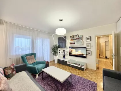 Radovana Simića Cige | 4zida.rs