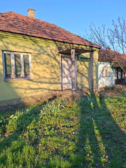 Cara Lazara | 4zida.rs