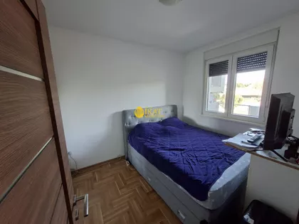 Zmaj Jove Jovanovića | 4zida.rs