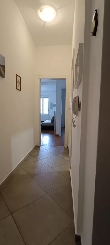 Vojvode Stepe | 4zida.rs