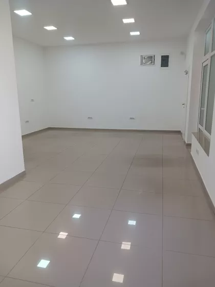 Vase Stajića | 4zida.rs