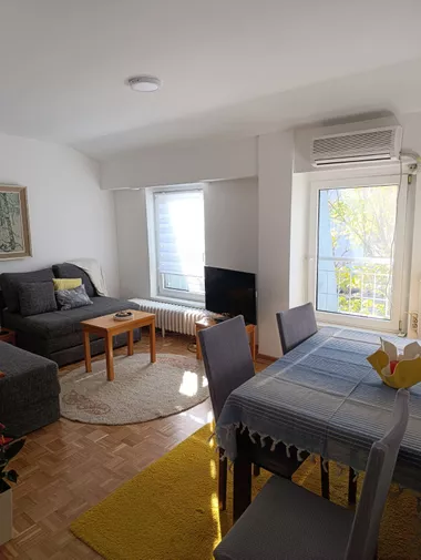 Dragoslava Srejovića