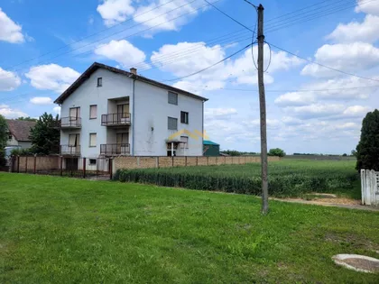 Čenej | 4zida.rs