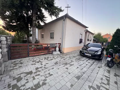 Mare Lukić Jelesić | 4zida.rs