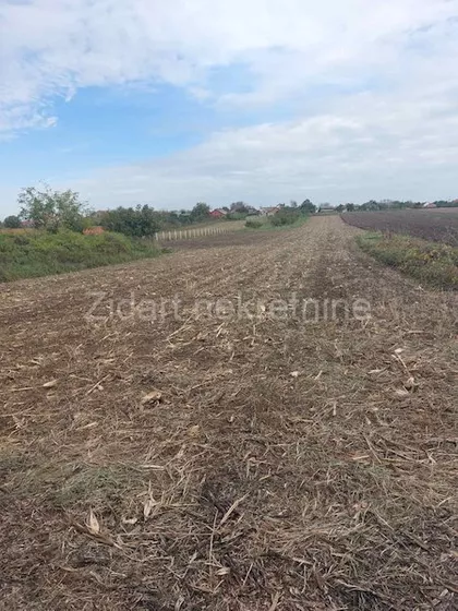 Brđanska | 4zida.rs