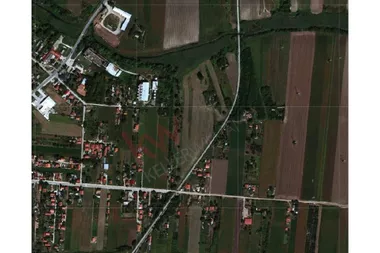 Pelisterska