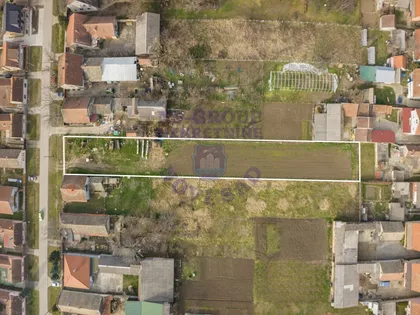 Cara Dušana | 4zida.rs