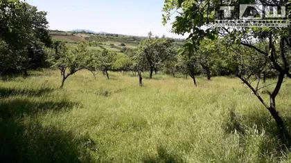 Gornja Šatornja | 4zida.rs