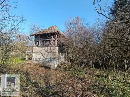 Liso Polje | 4zida.rs