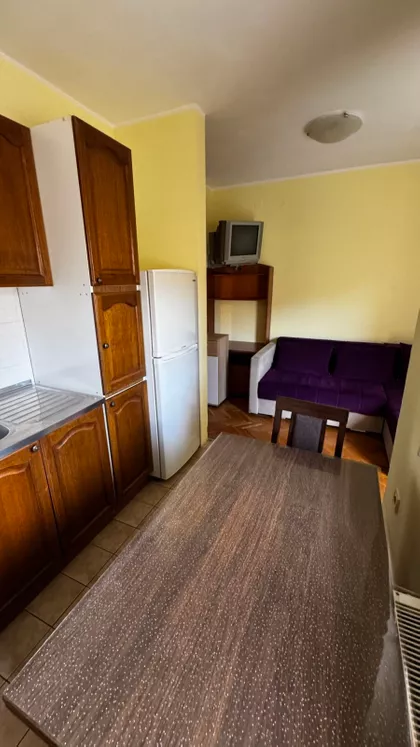 Vase Pelagića | 4zida.rs