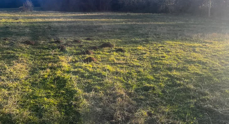 Poljoprivredno zemljište | 4zida