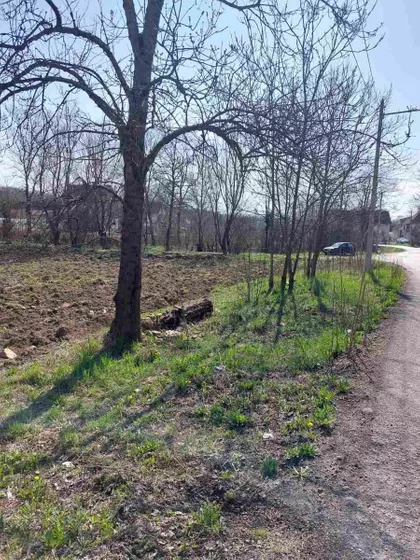 Velika Moštanica | 4zida.rs