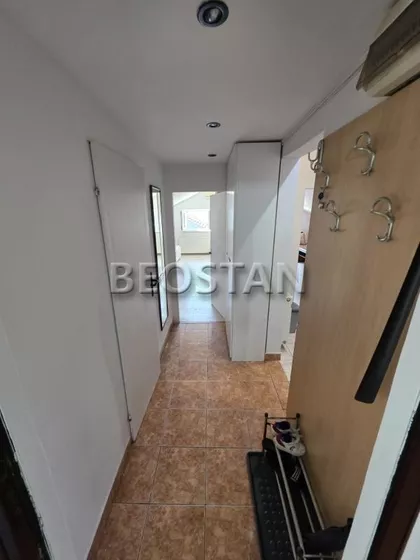 Dr Ivana Ribara | 4zida.rs