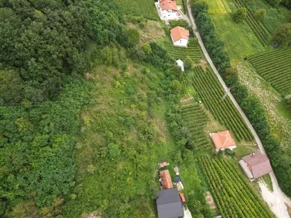 Mijoska | 4zida.rs