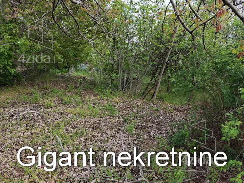 Plac | 4zida