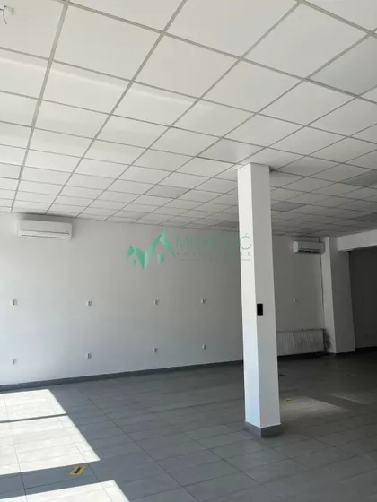 Banatić | 4zida.rs