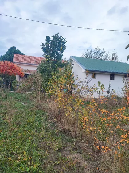 Mali Požarevac | 4zida.rs