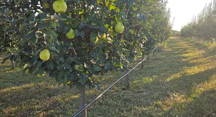 Poljoprivredno zemljište | 4zida