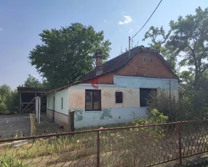 Bački Vinogradi | 4zida.rs