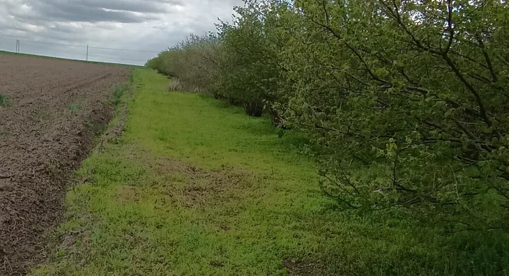 Poljoprivredno zemljište | 4zida