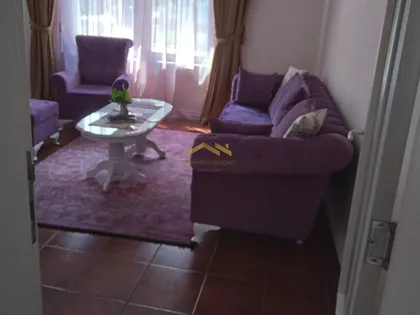 Salajka | 4zida.rs