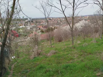 Đoke Šundukovića 6 | 4zida.rs
