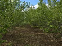 Radanovac, Gradske lokacije, Subotica | 4zida.rs