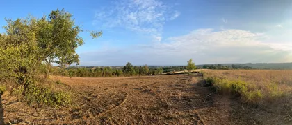 Atarska bb | 4zida.rs