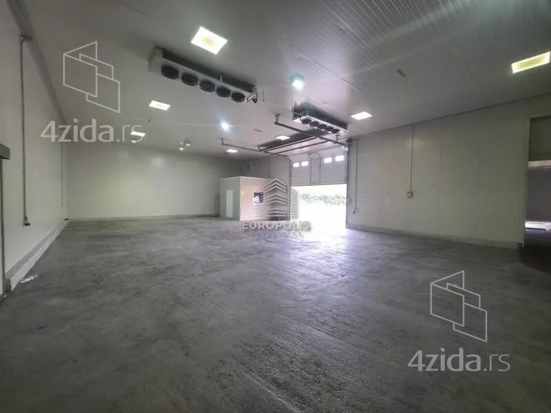 Hala | 4zida