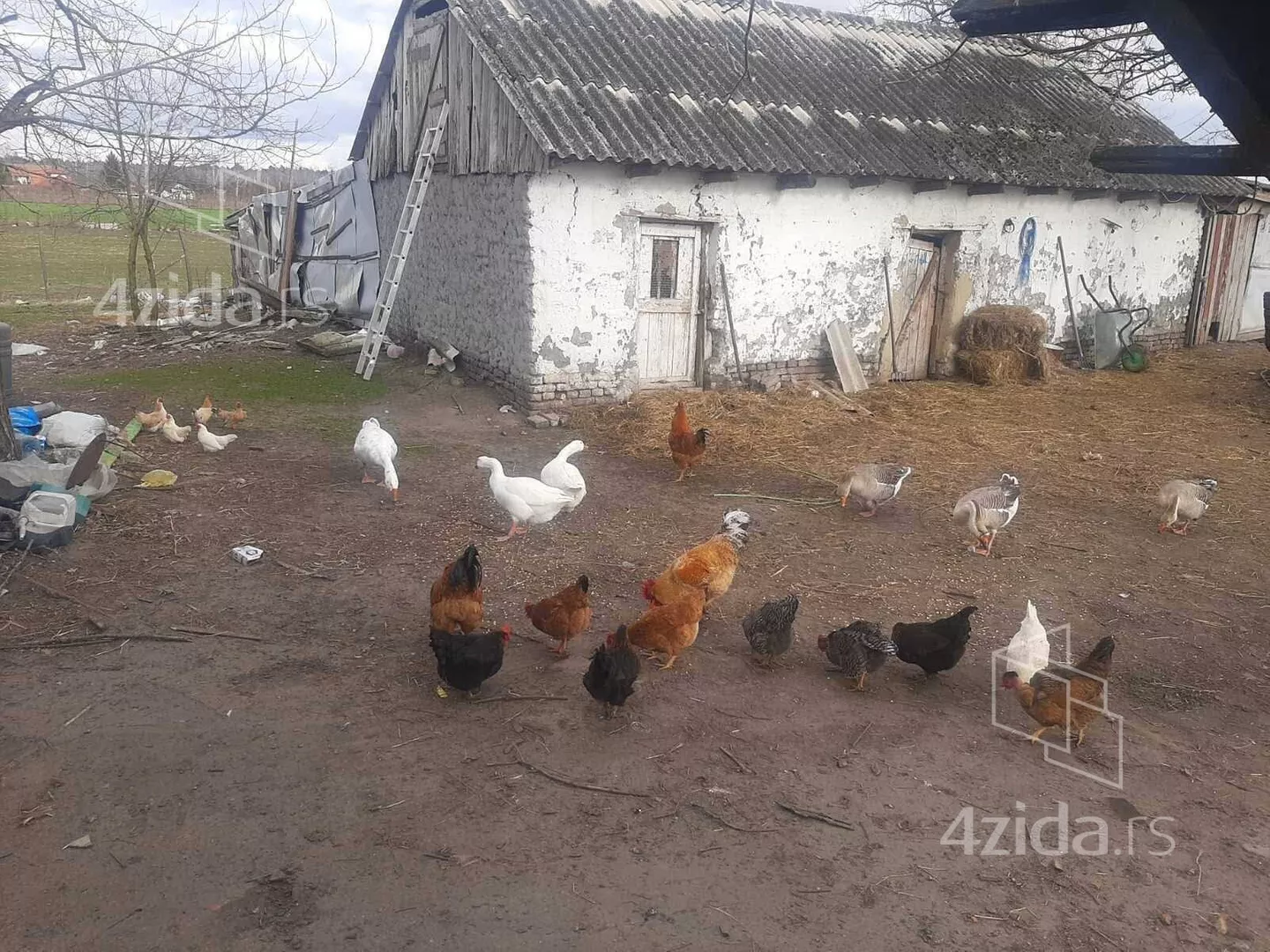 Kuća | 4zida