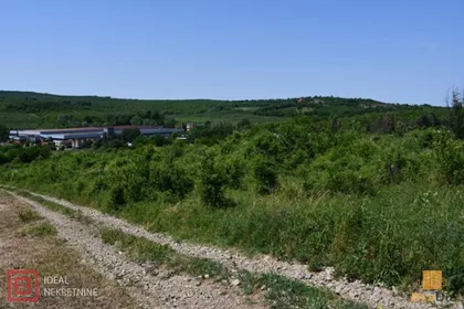 Rizopek | 4zida.rs