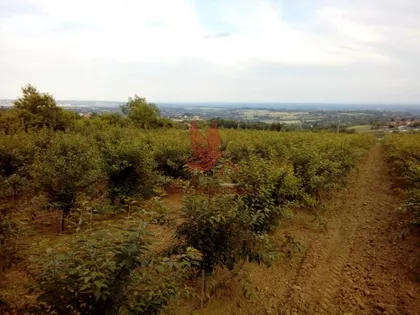 Koraćica | 4zida.rs